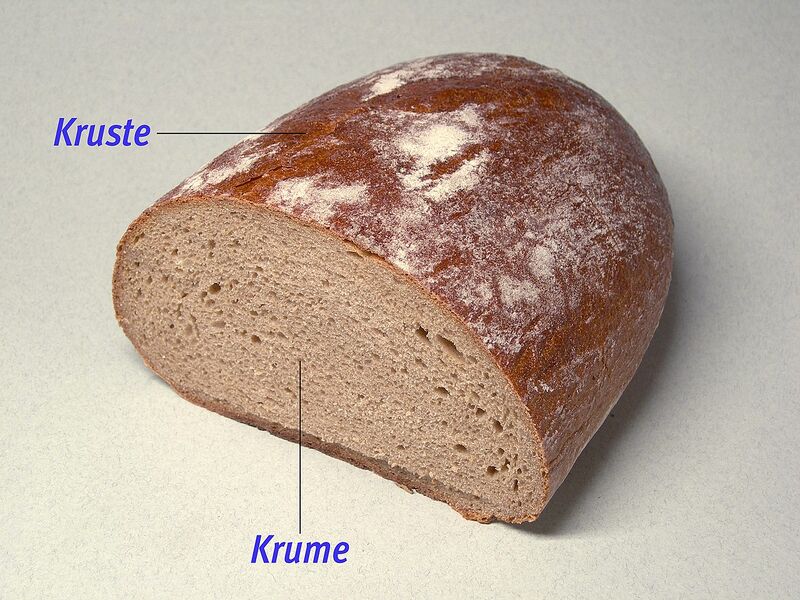 Datei:Krume Kruste.jpg